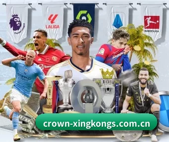 加入我们, 开启不一样的体育体验(xingkong)